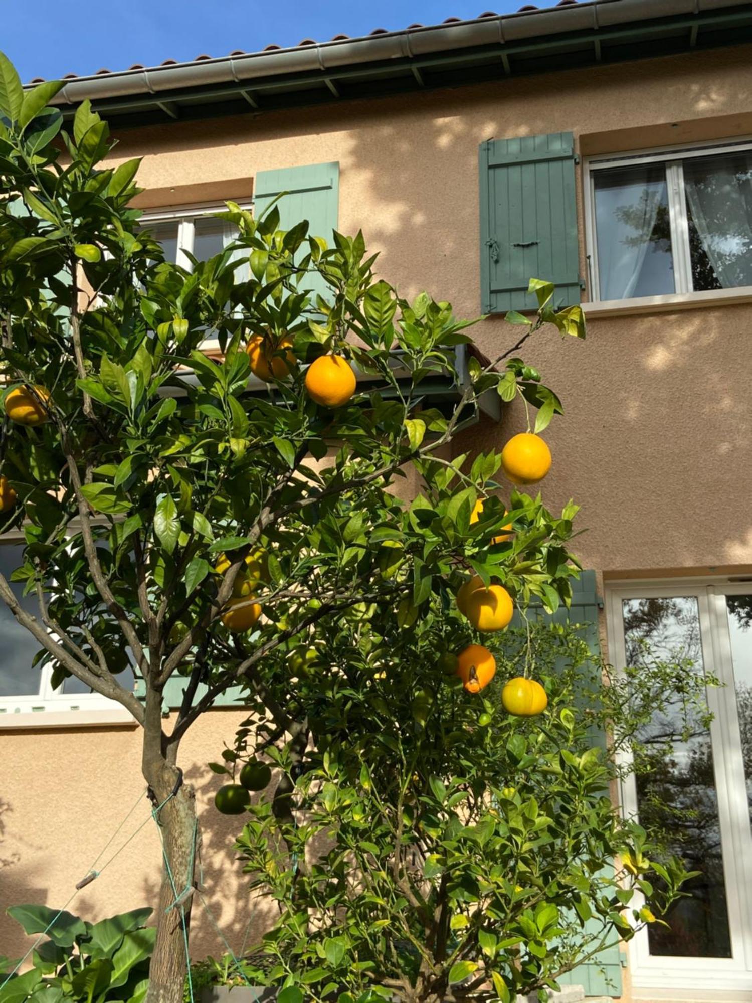 Le Relais Des Malettes Chambres D'Hotes B&B 弗朗舍维尔 外观 照片