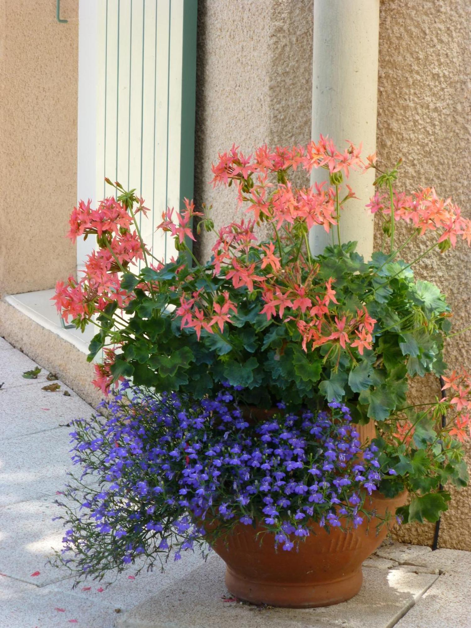Le Relais Des Malettes Chambres D'Hotes B&B 弗朗舍维尔 外观 照片