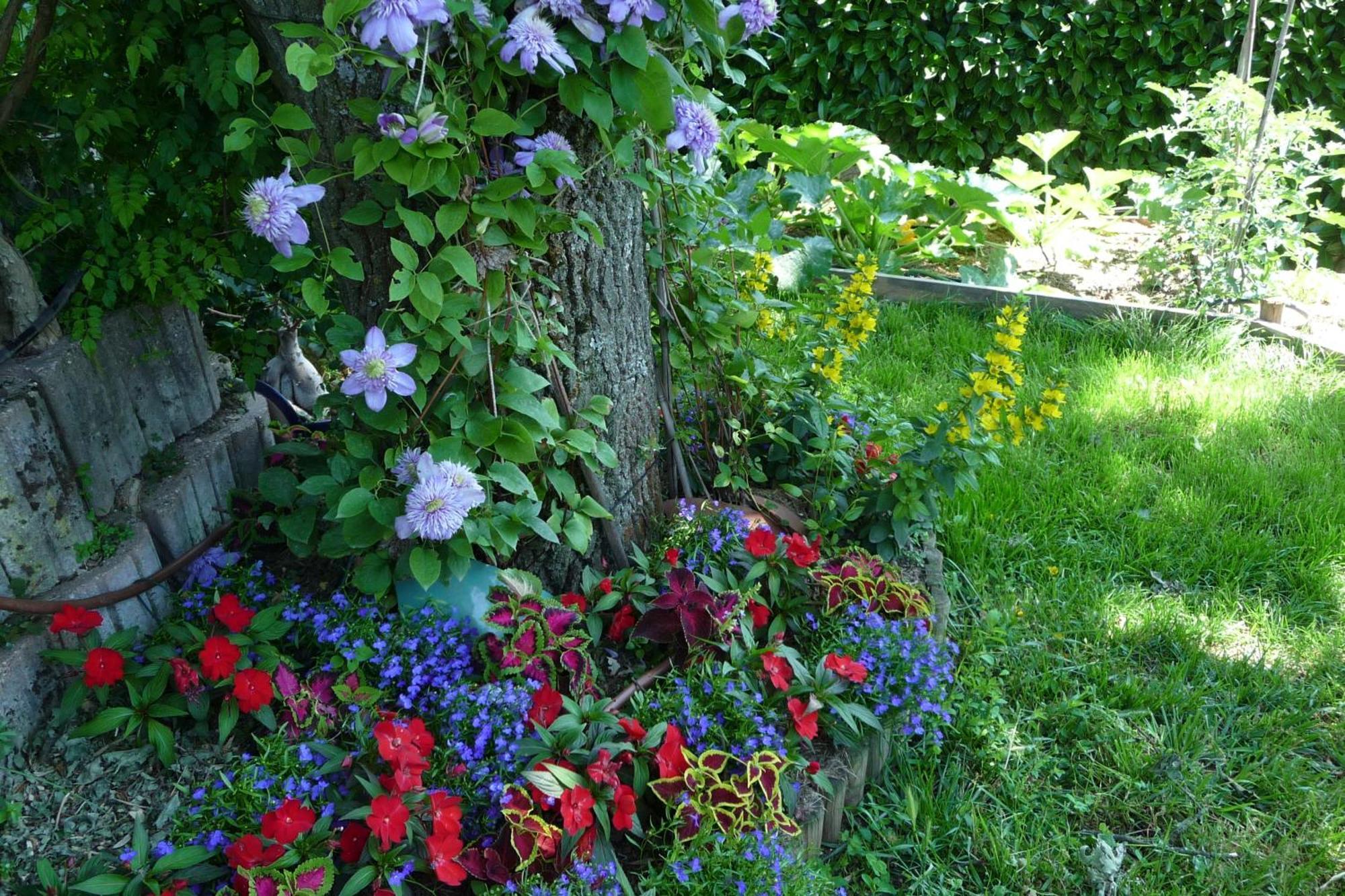 Le Relais Des Malettes Chambres D'Hotes B&B 弗朗舍维尔 外观 照片