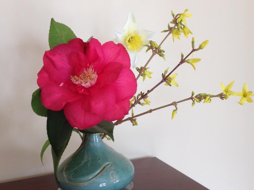 Le Relais Des Malettes Chambres D'Hotes B&B 弗朗舍维尔 外观 照片