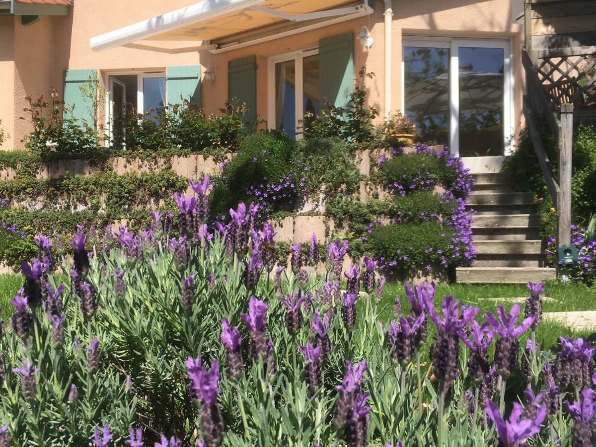 Le Relais Des Malettes Chambres D'Hotes B&B 弗朗舍维尔 外观 照片