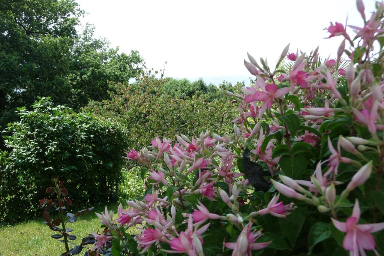 Le Relais Des Malettes Chambres D'Hotes B&B 弗朗舍维尔 外观 照片